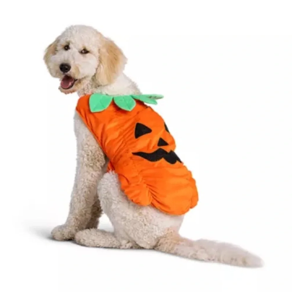 Thrills and Chills pumpkin dog costume
